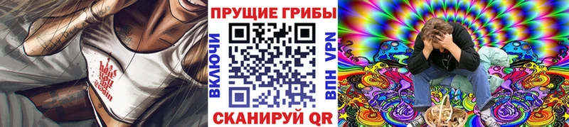shop клад  Нижняя Салда  Галлюциногенные грибы мицелий  наркота 
